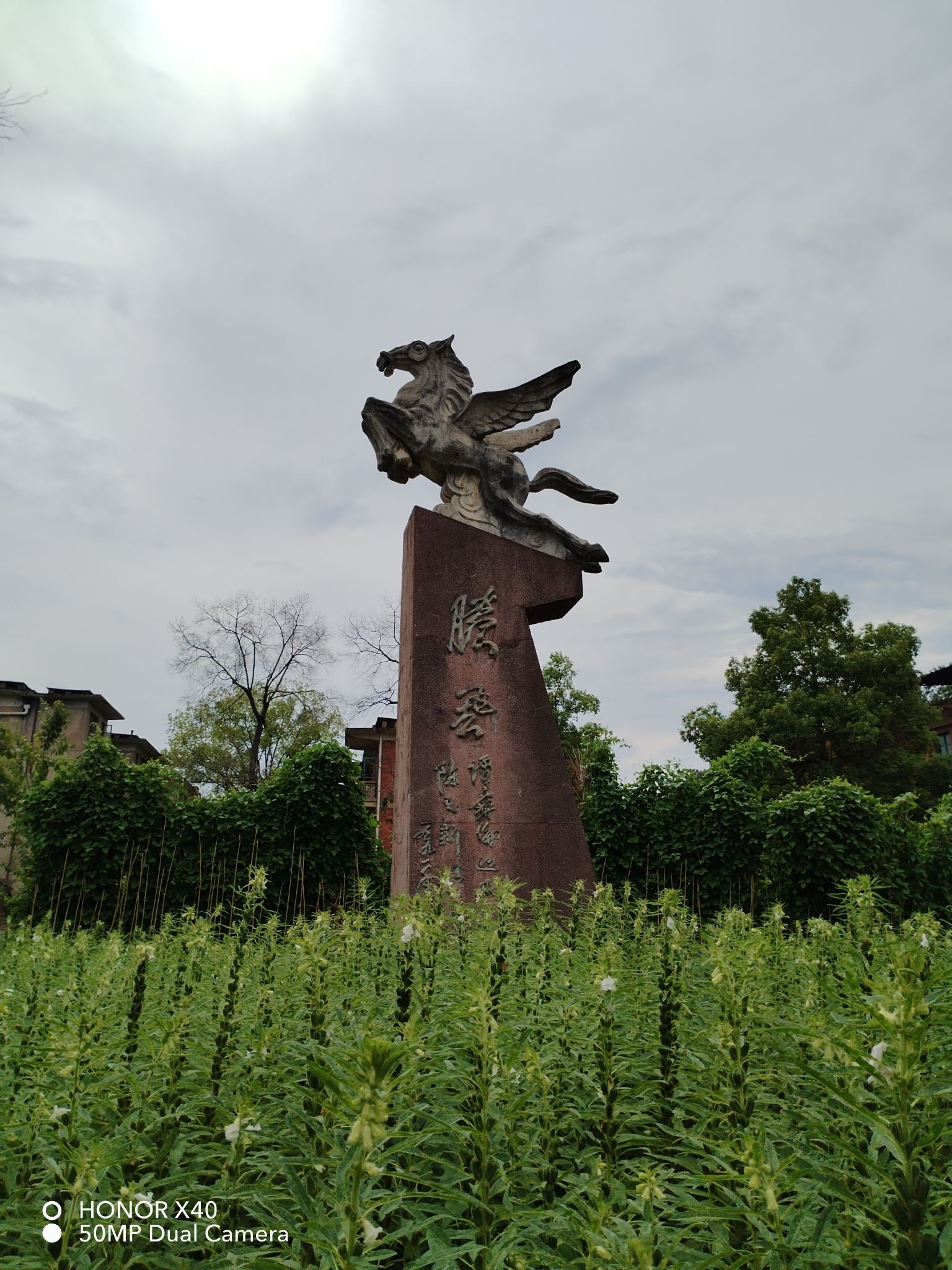 矿山公园旅行图片 2