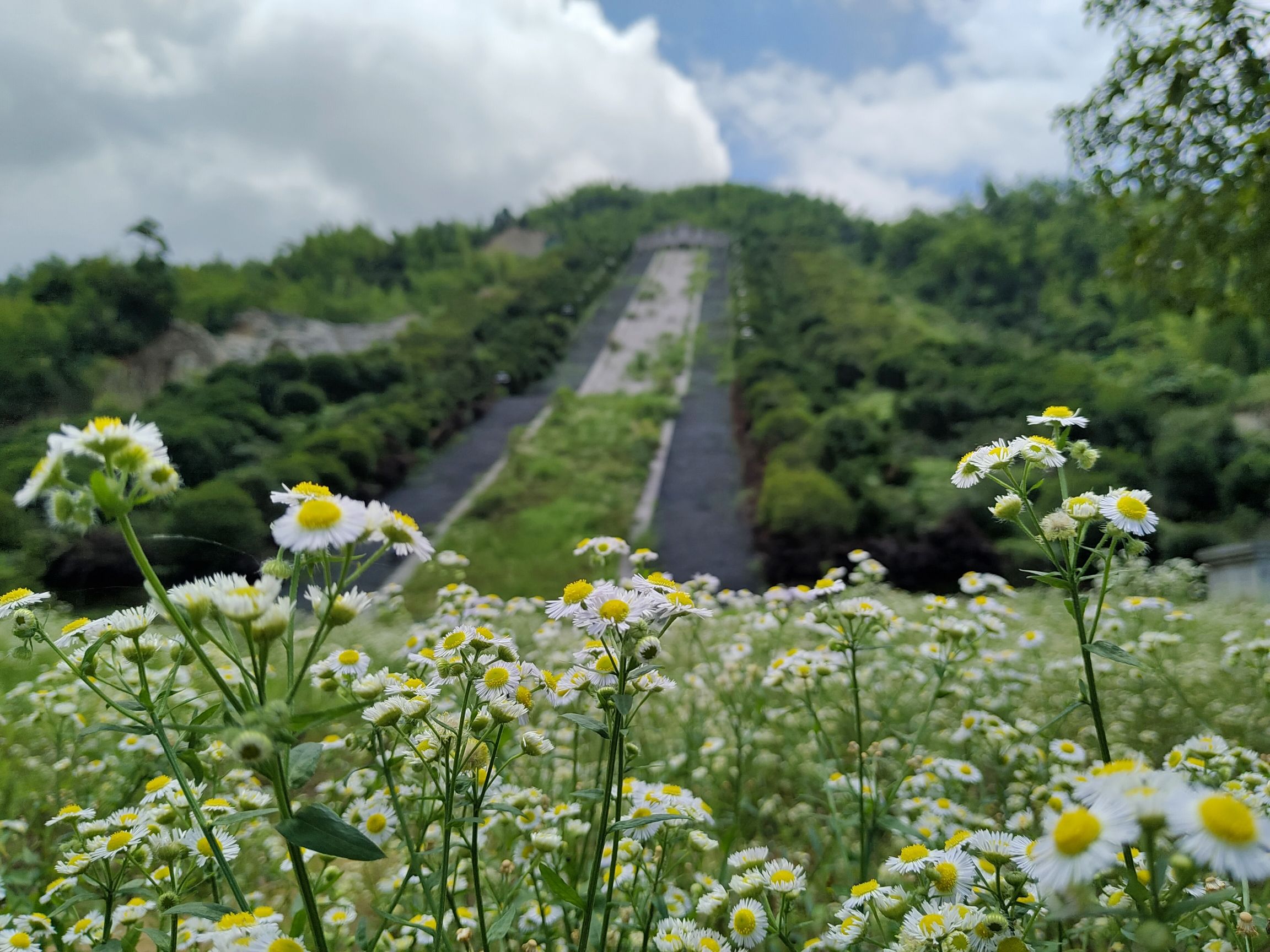 大义山旅行图片 3