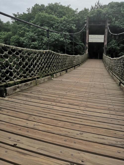 平湖公园旅行图片 1