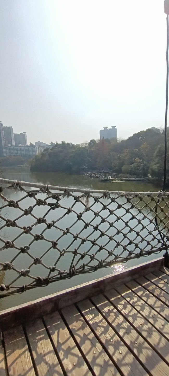 平湖公园旅行图片 1