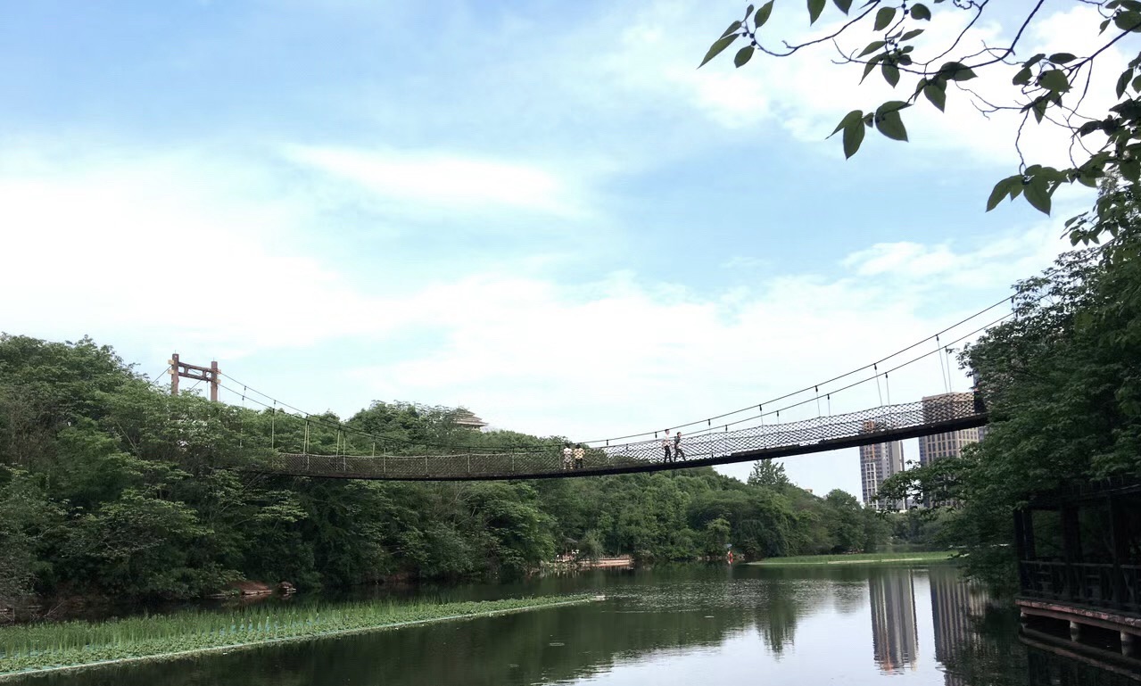 平湖公园旅行图片 2