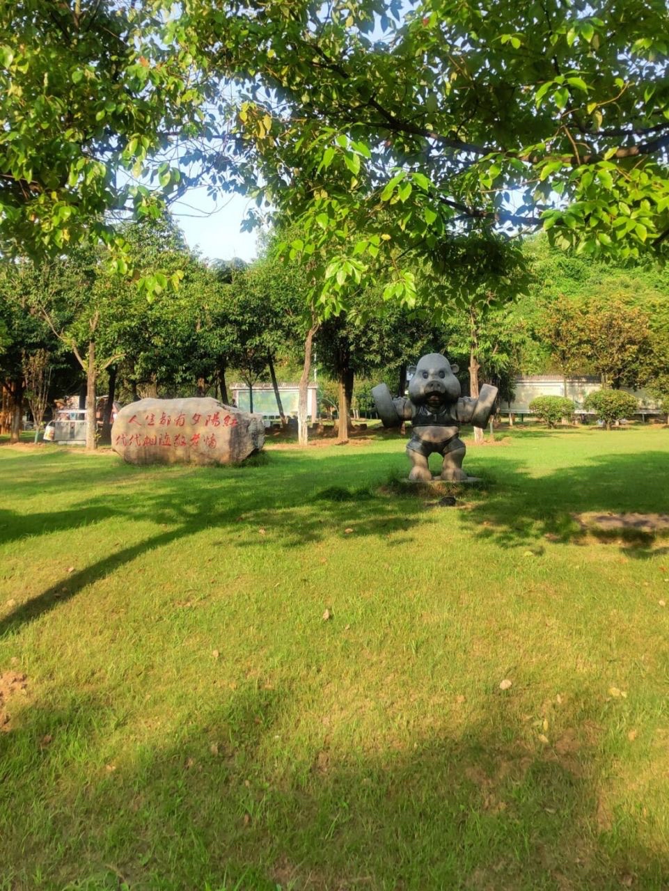 平湖公园旅行图片 2