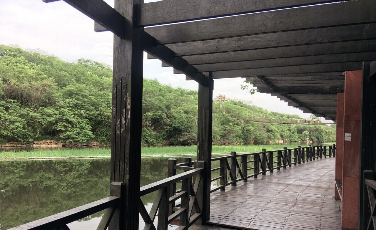 平湖公园旅行图片 1