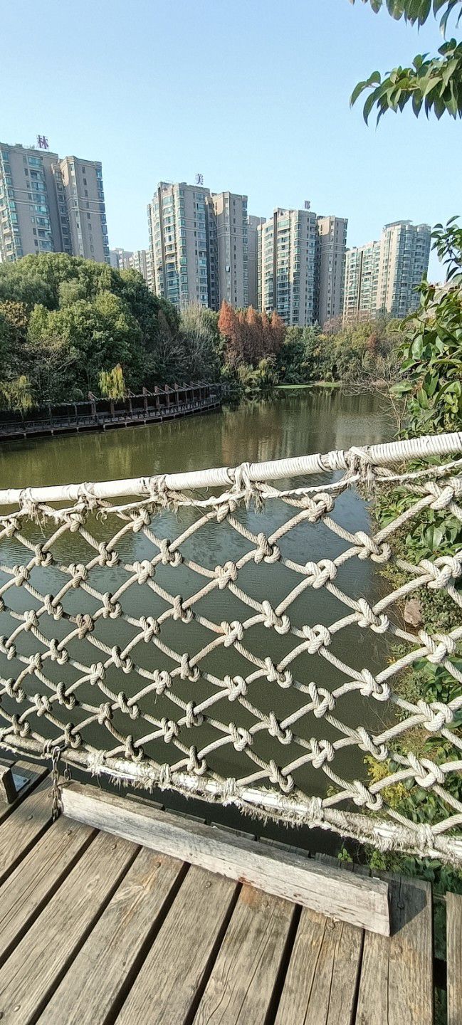 平湖公园旅行图片 2