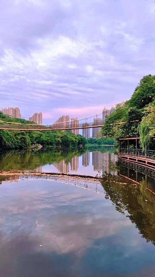 平湖公园旅行图片 3