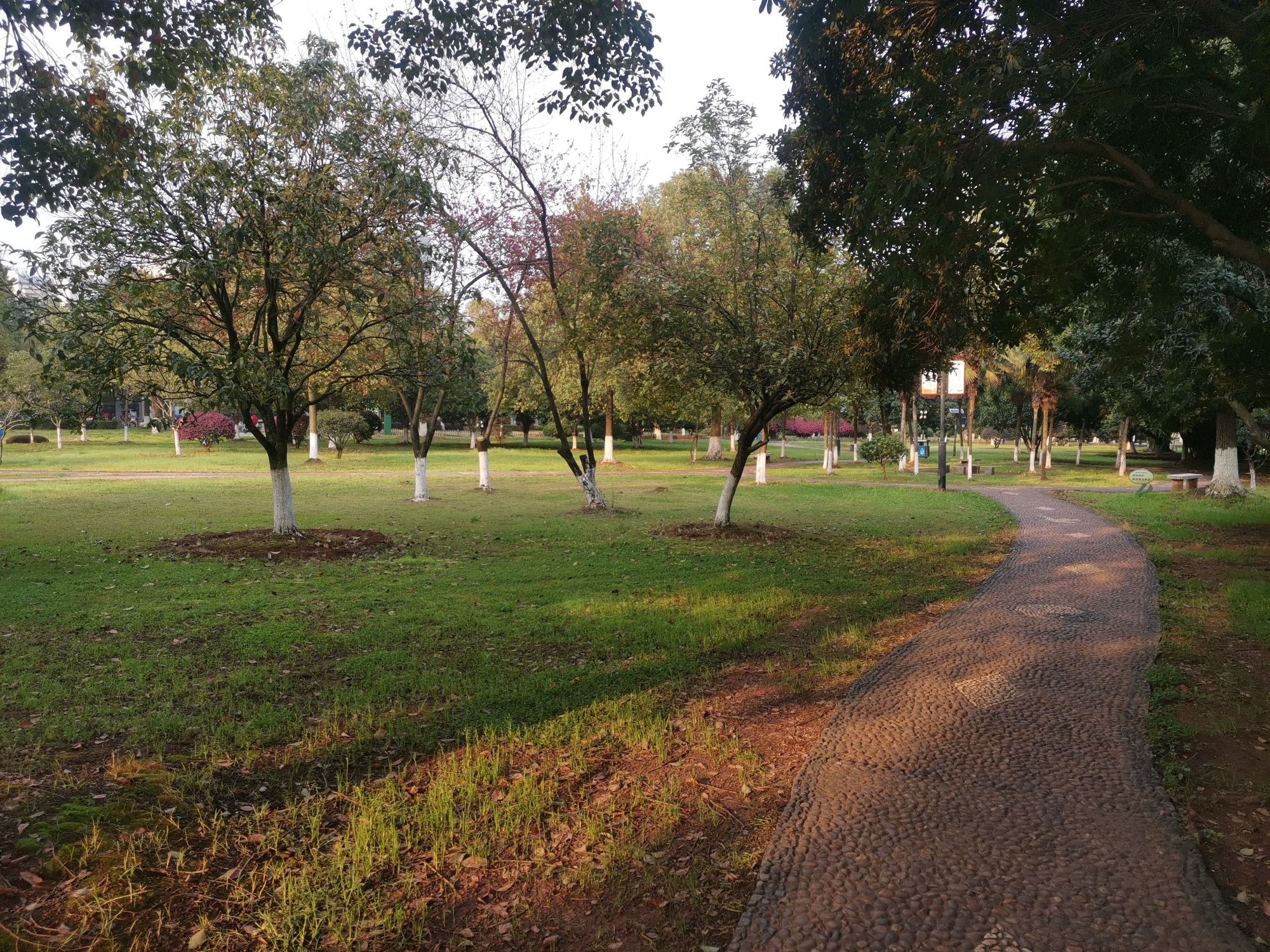 船山公园旅行图片 3