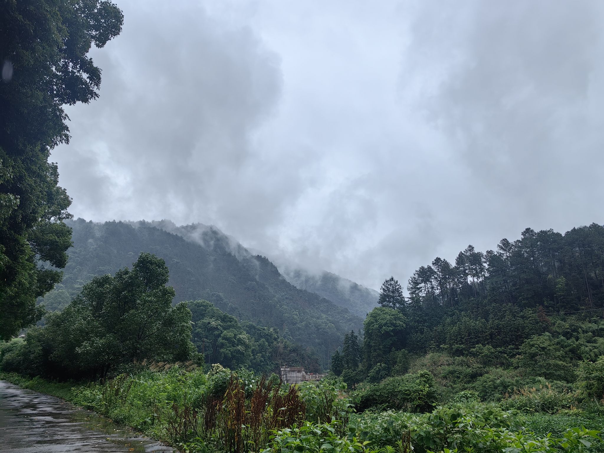 湖南四明山国家森林公园旅行图片 1