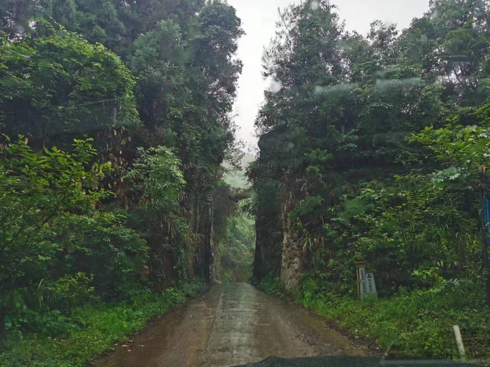 湖南四明山国家森林公园旅行图片 2