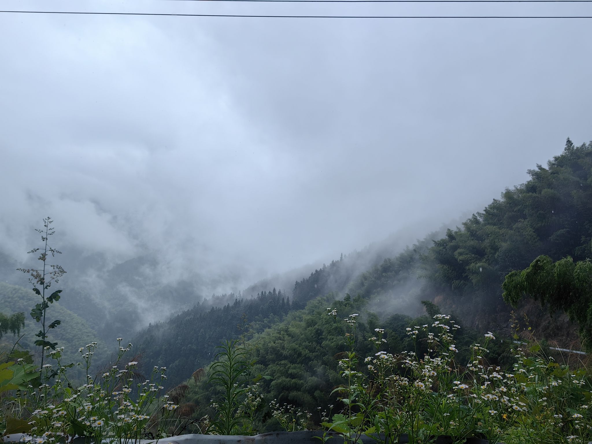 湖南四明山国家森林公园旅行图片 3