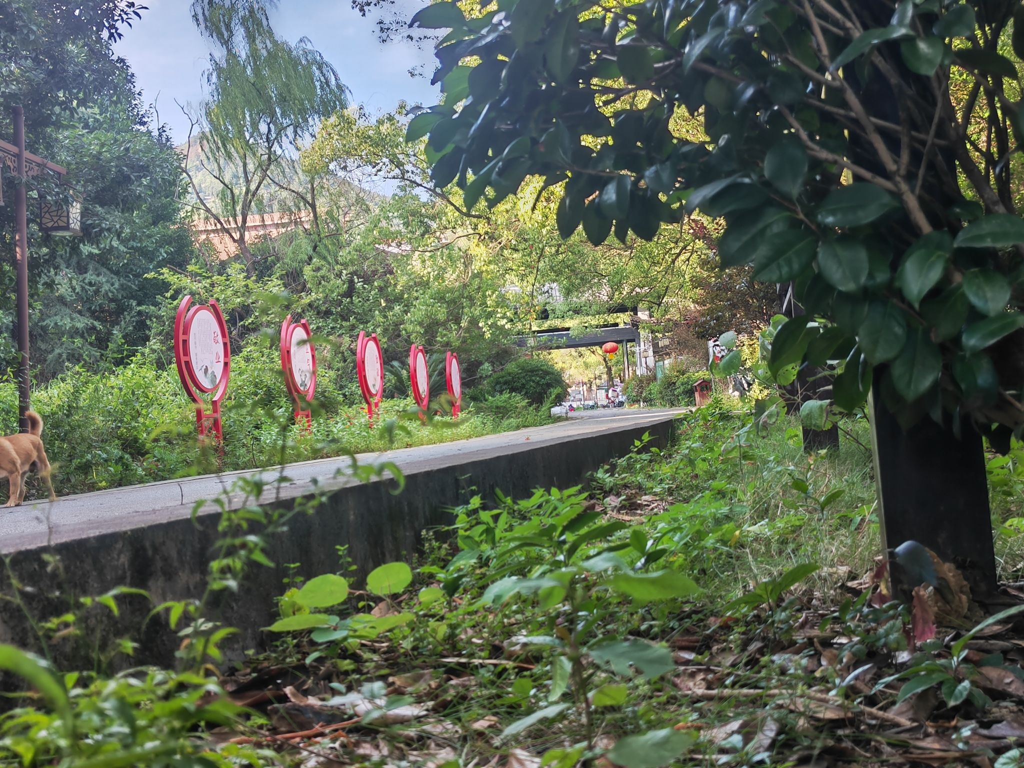 湖南四明山国家森林公园旅行图片 2