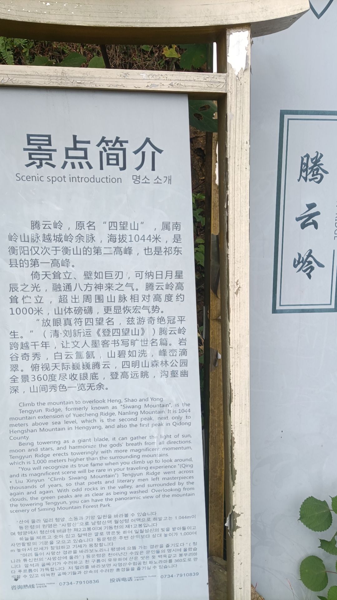 湖南四明山国家森林公园旅行图片 2