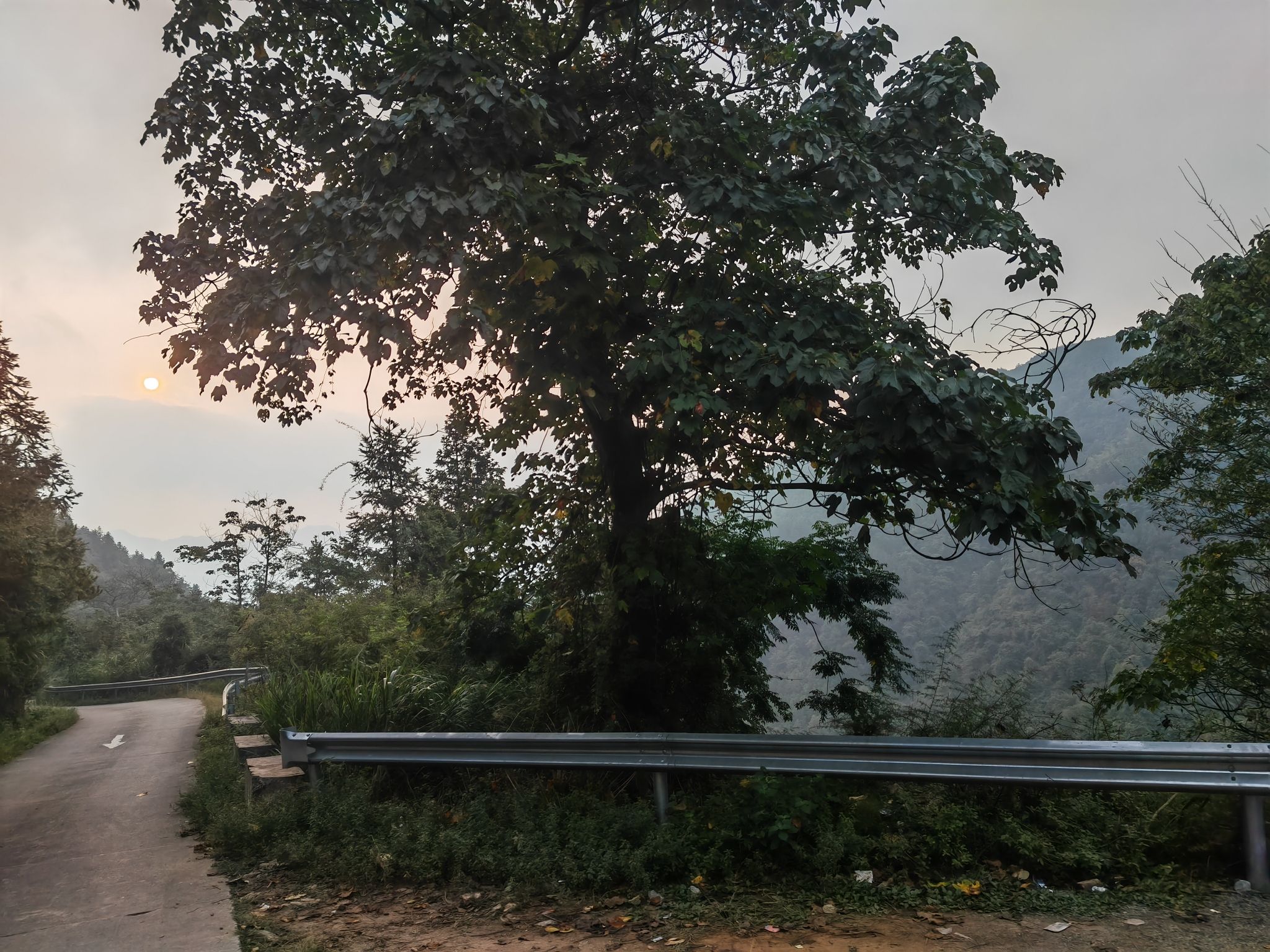 湖南四明山国家森林公园旅行图片 3