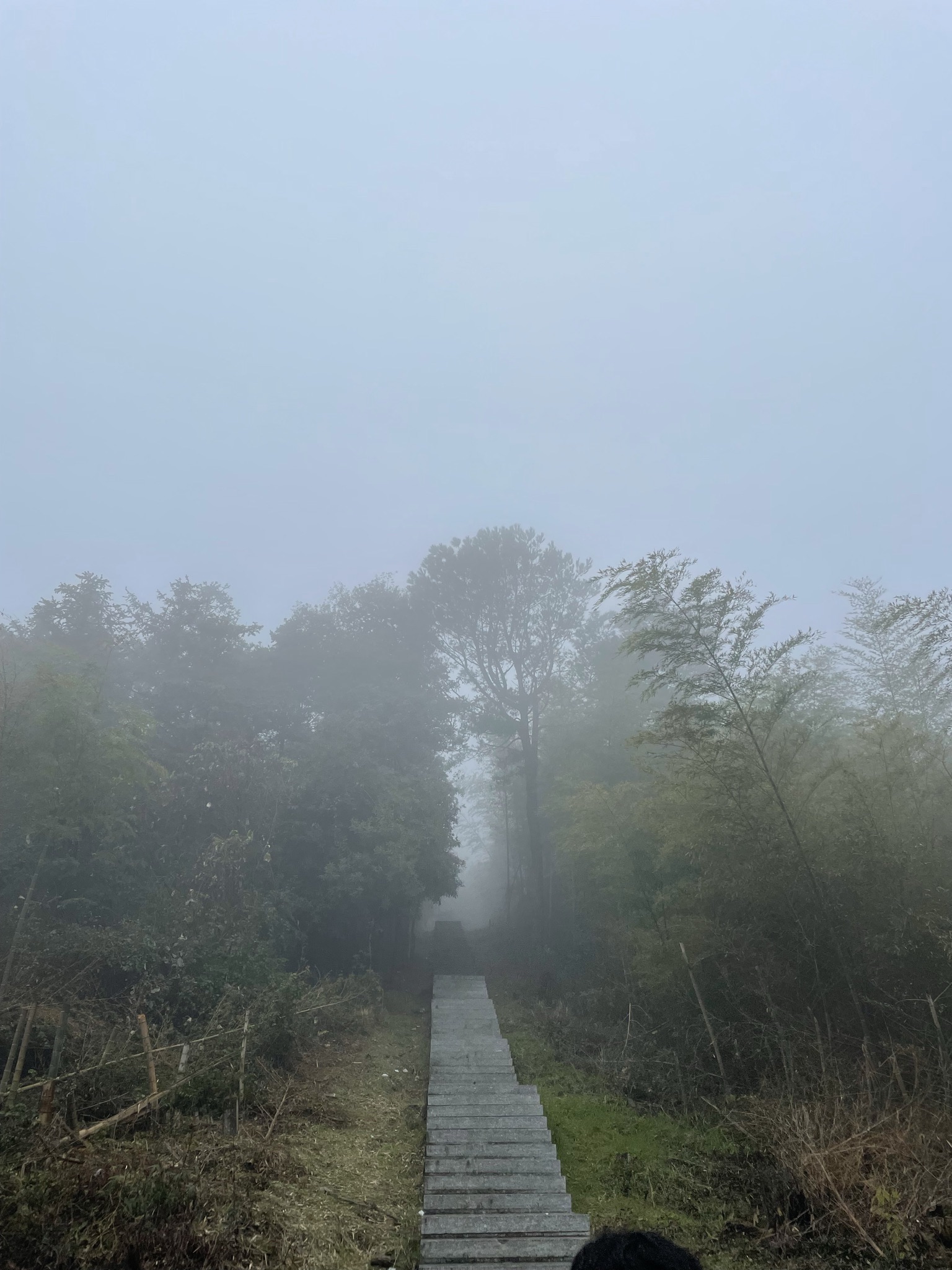 岐山旅游区旅行图片 1