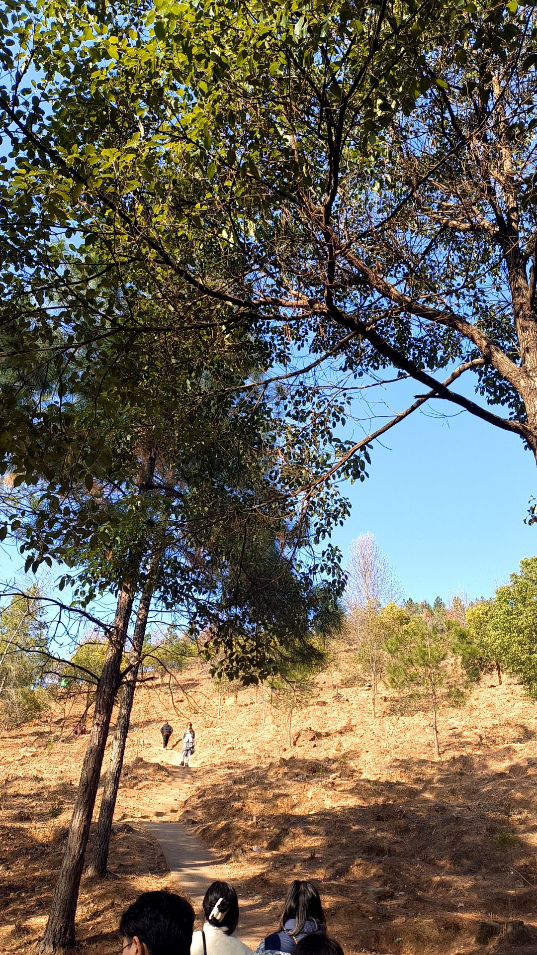 鼎山公园旅行图片 3