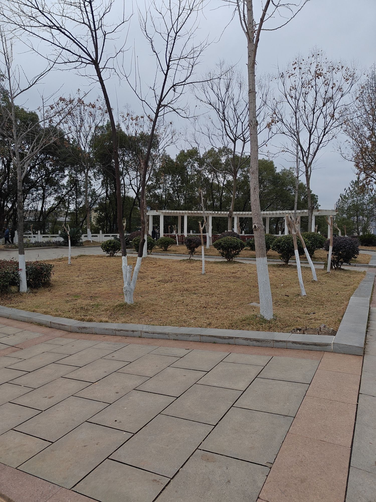 鼎山公园旅行图片 1