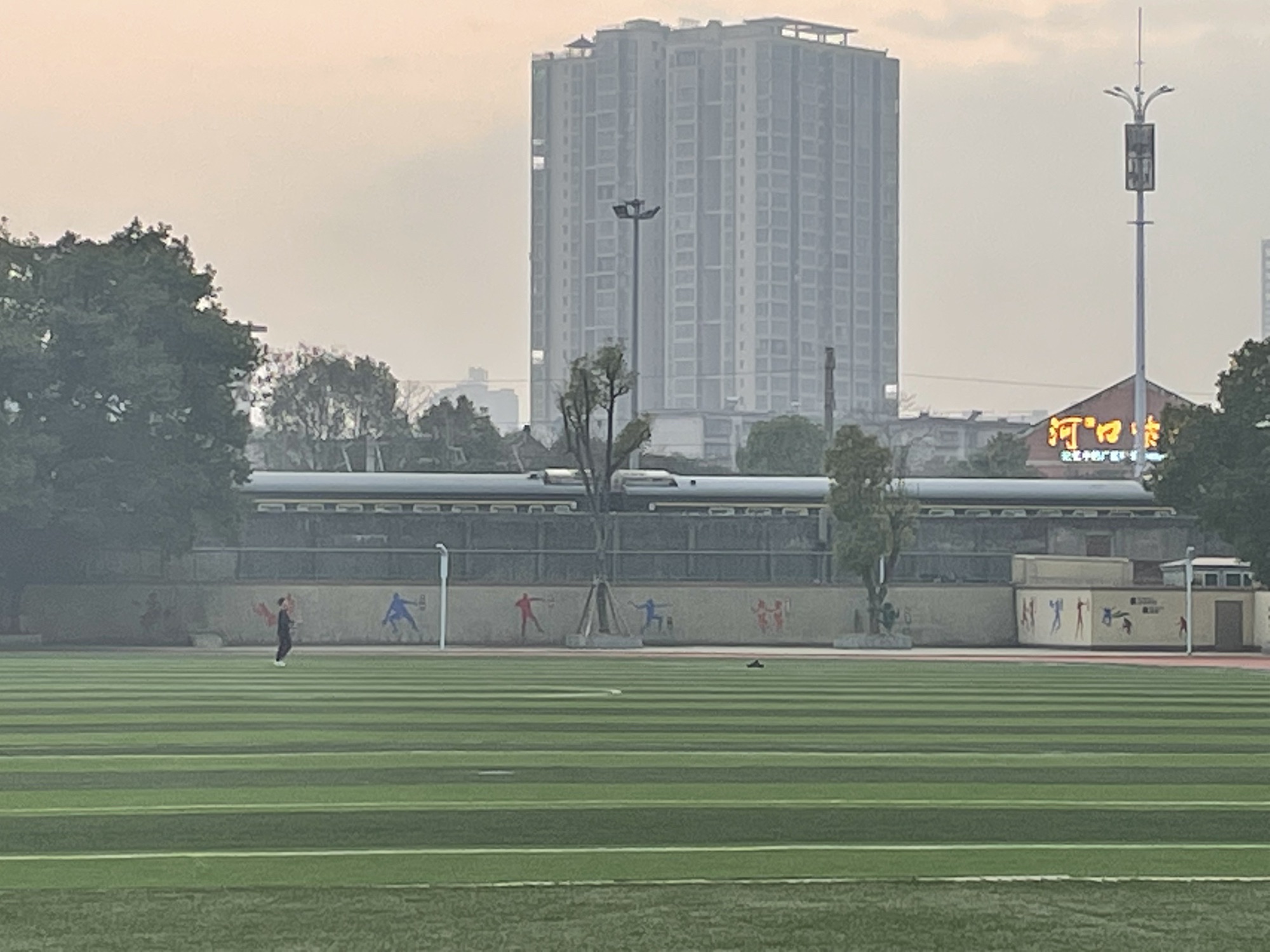 苗圃公园旅行图片 2