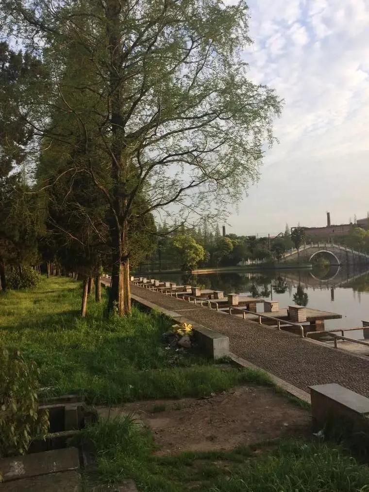 苗圃公园旅行图片 3