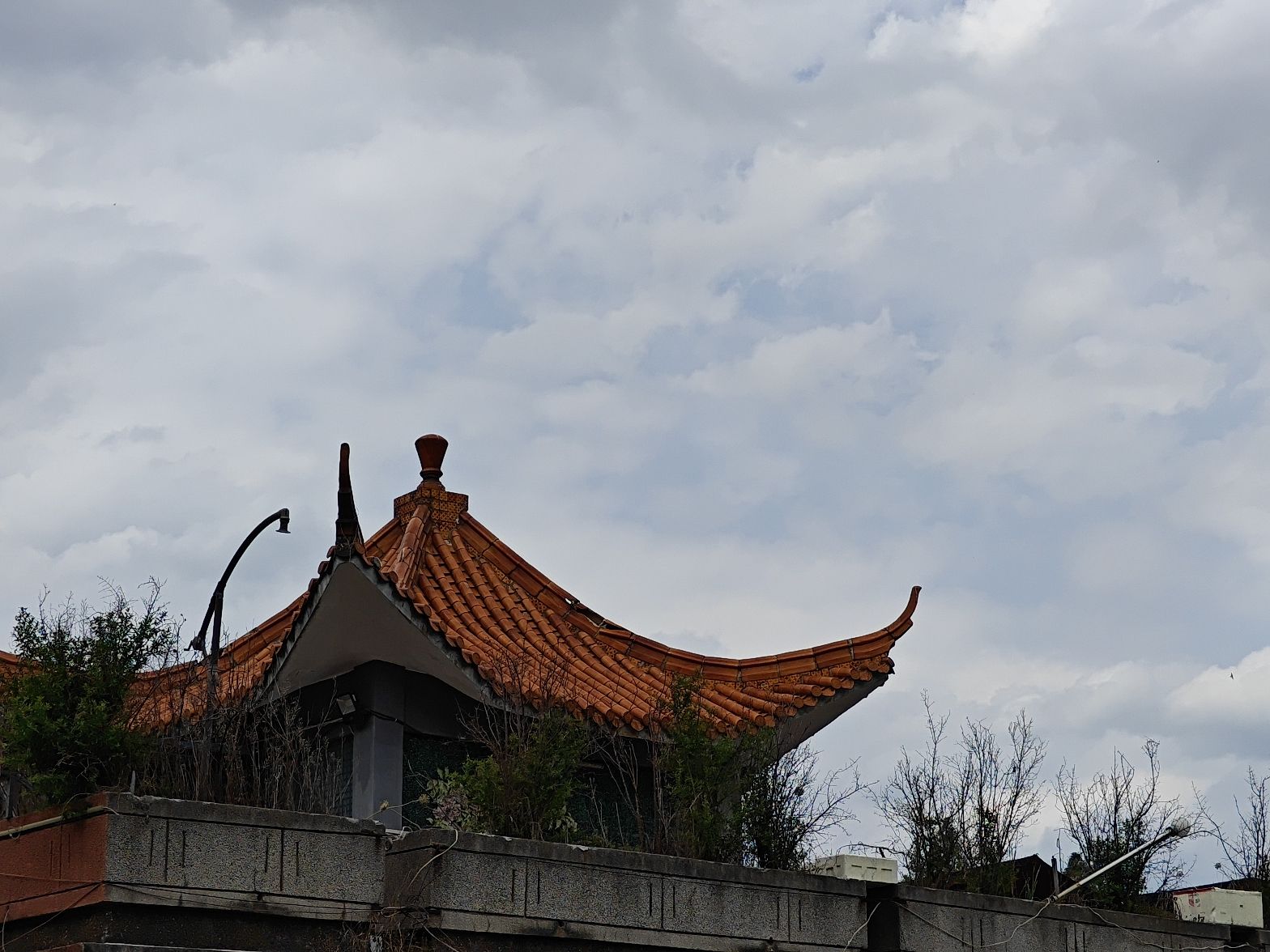苗圃公园旅行图片 2