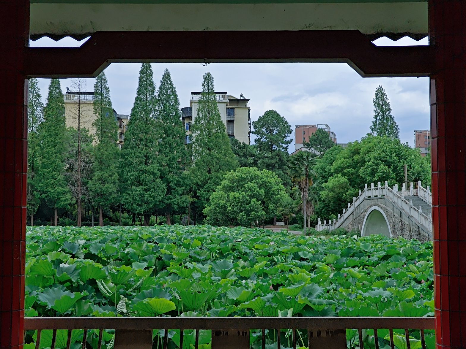 苗圃公园旅行图片 1