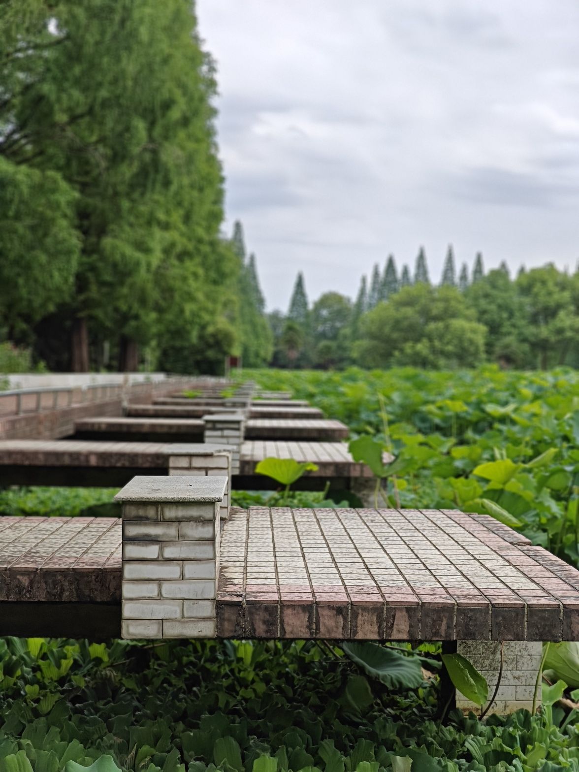 苗圃公园旅行图片 3