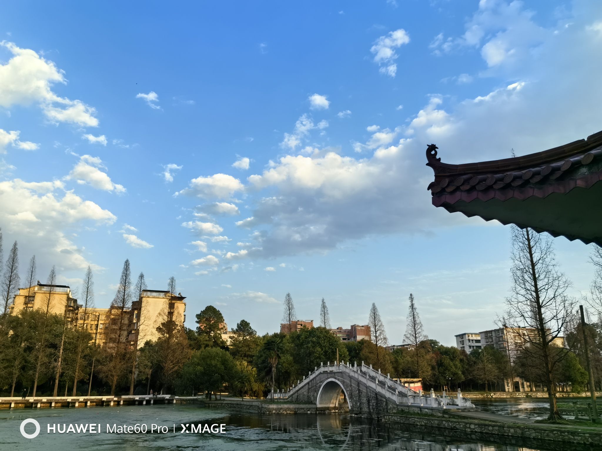 苗圃公园旅行图片 1