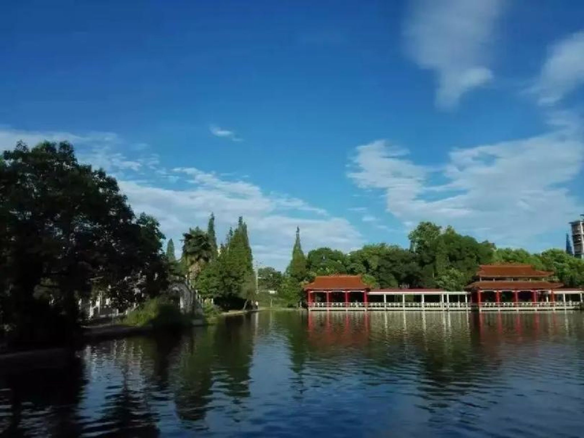 苗圃公园旅行图片 1