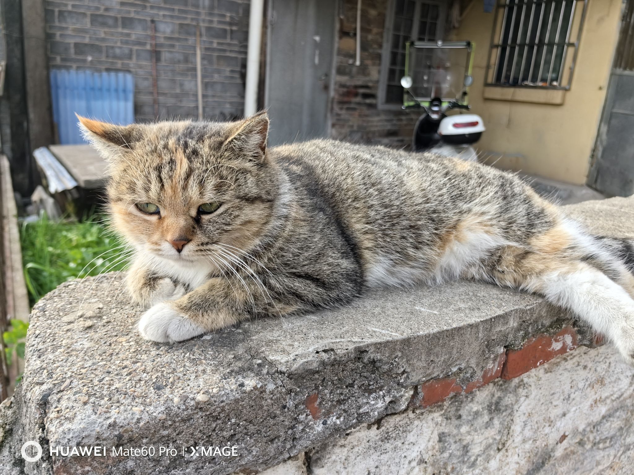 苗圃公园旅行图片 3