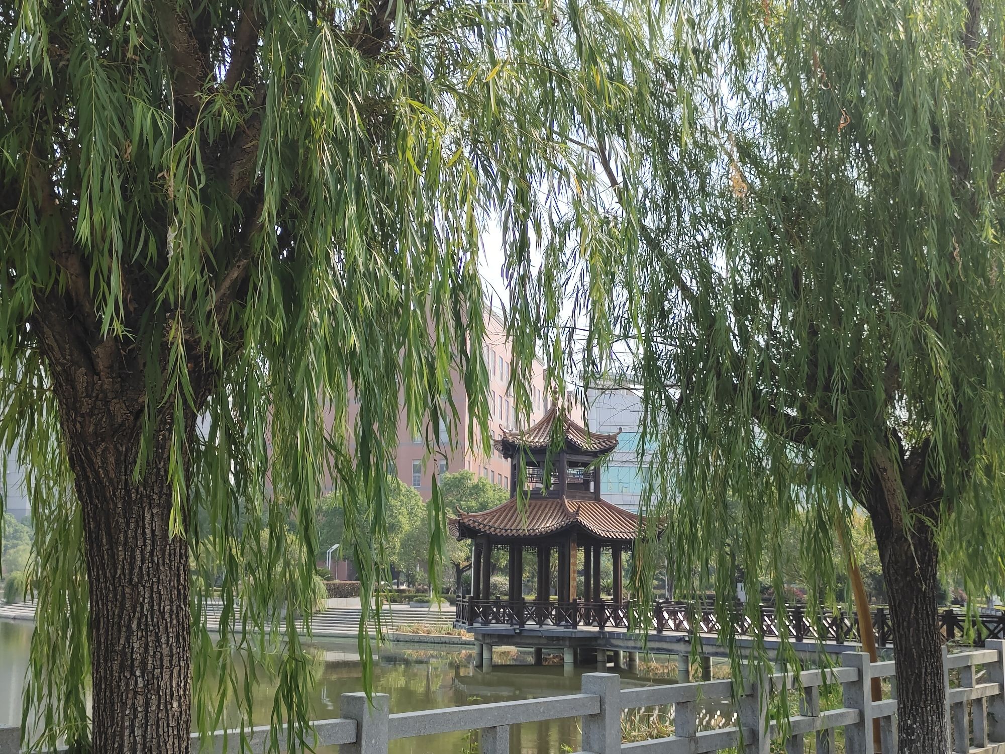 西湖游园旅行图片 2