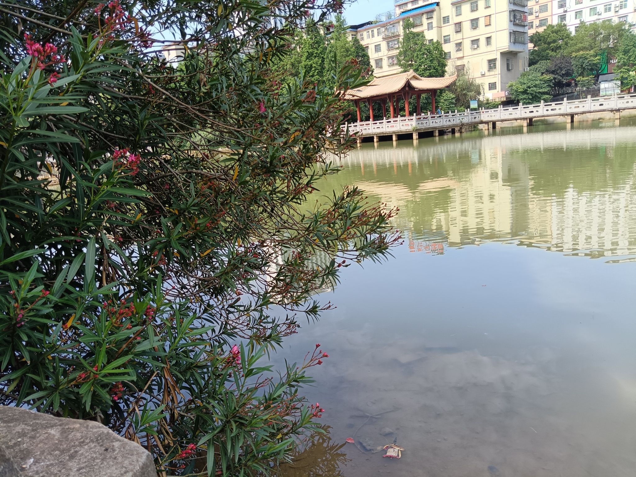 西湖游园旅行图片 3