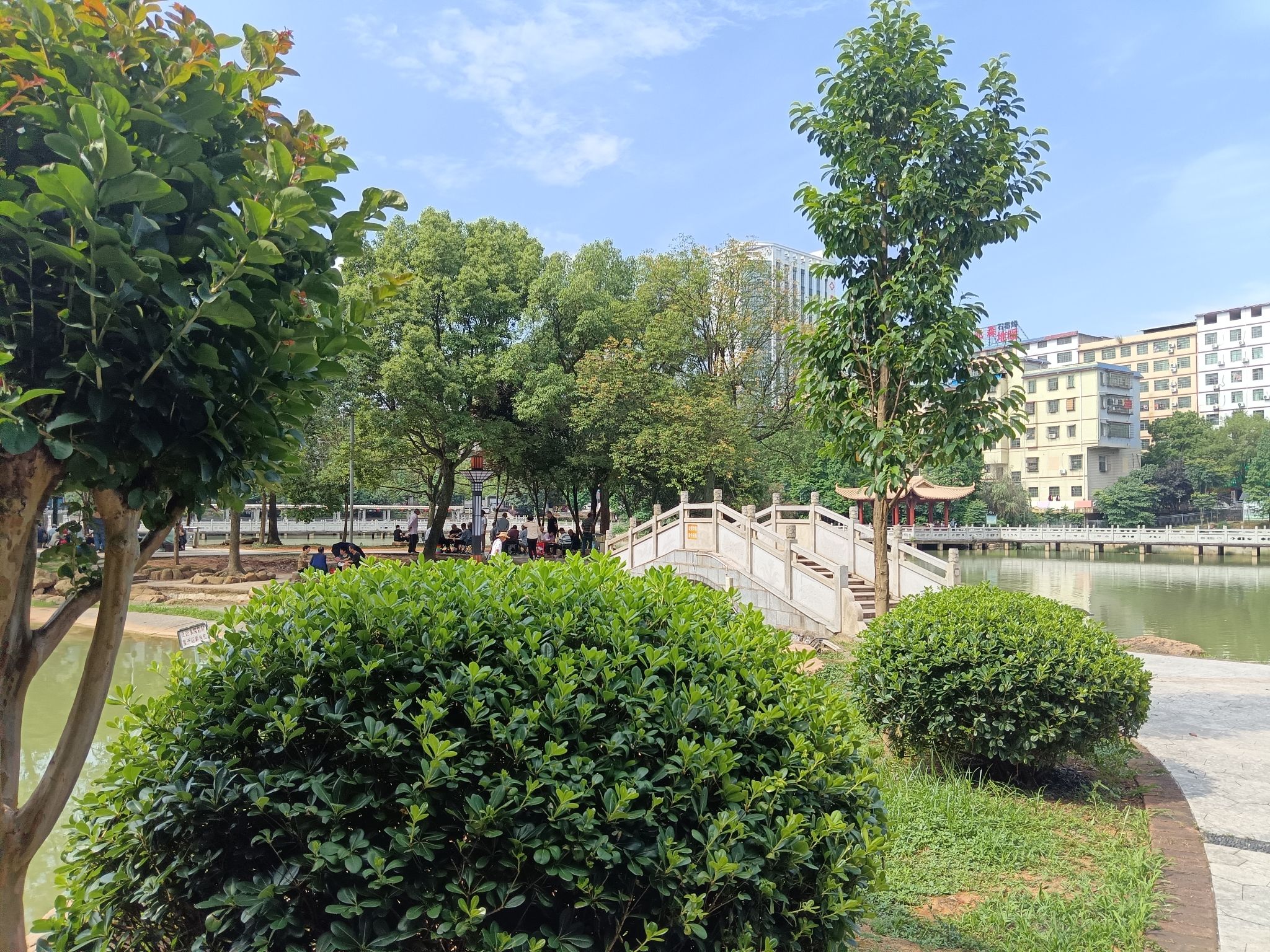 西湖游园旅行图片 1