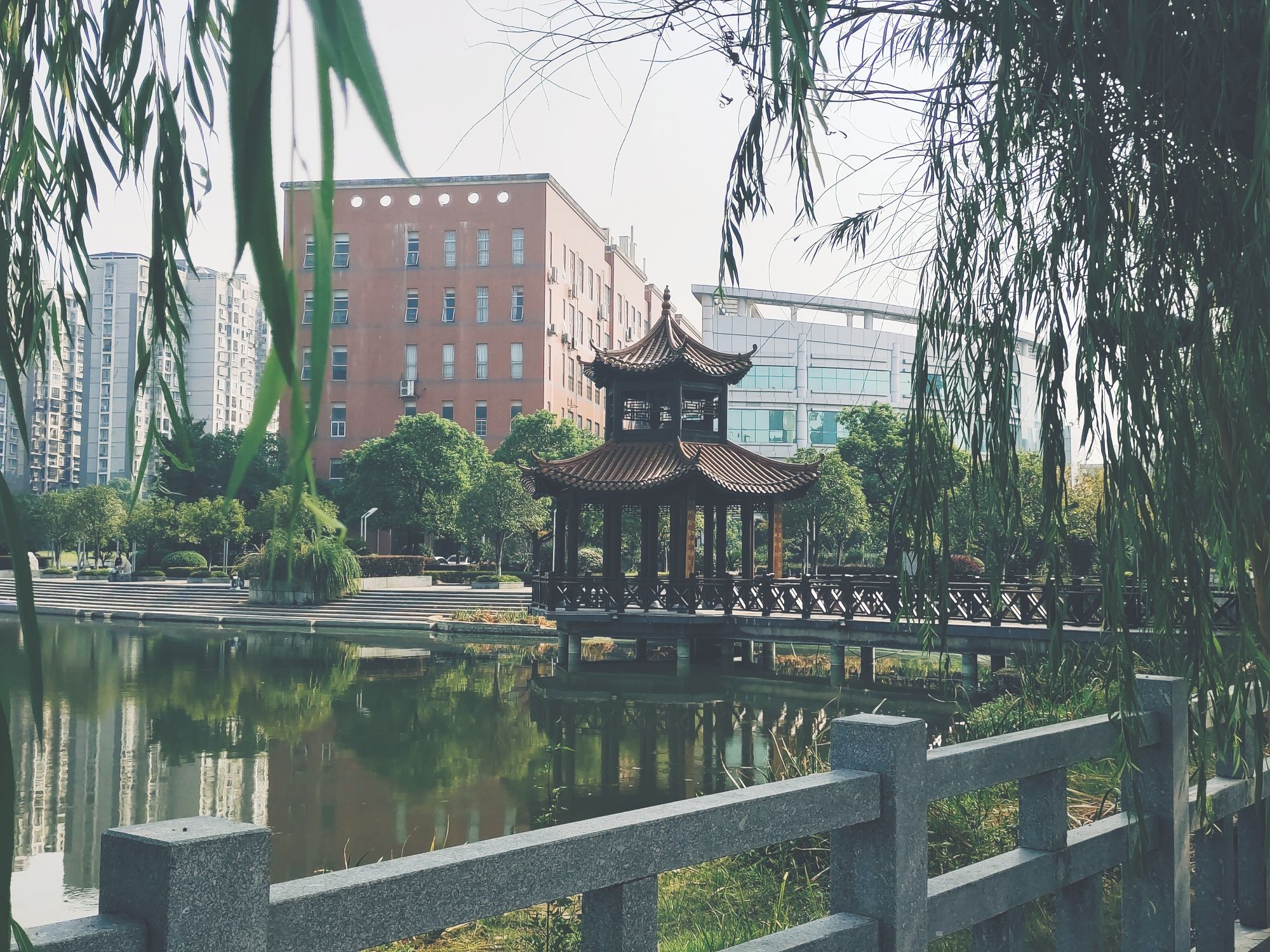 西湖游园旅行图片