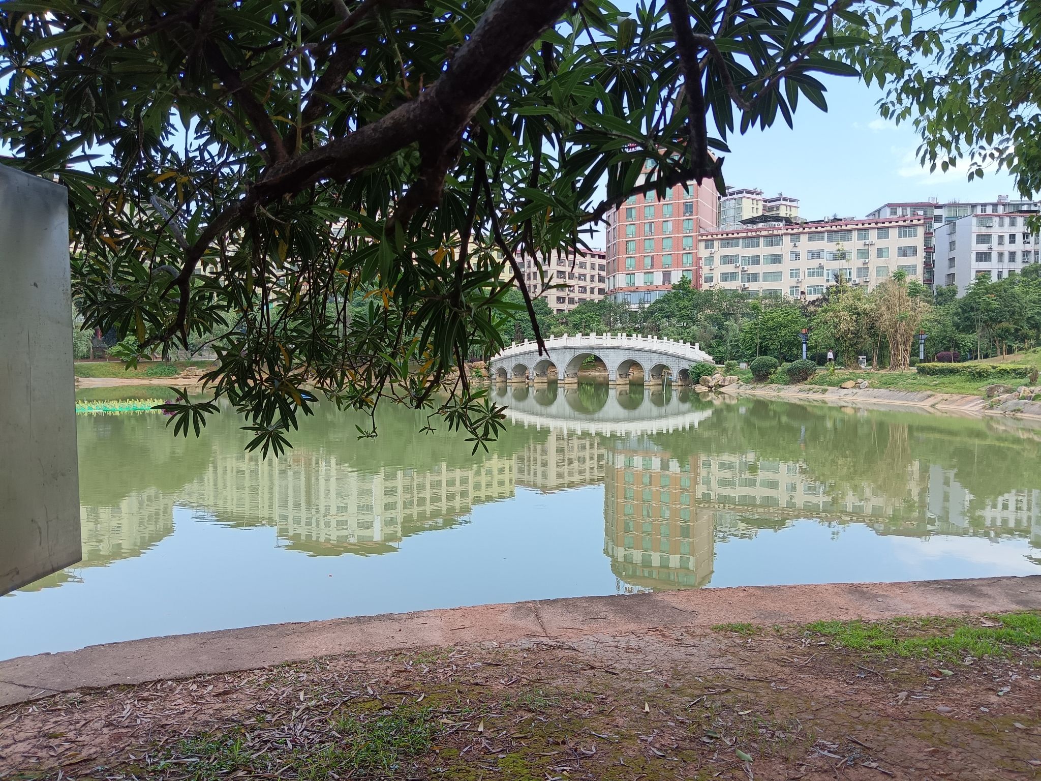 西湖游园旅行图片 2