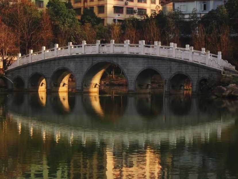 西湖游园旅行图片 2