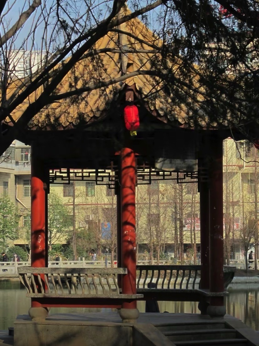 西湖游园旅行图片 1