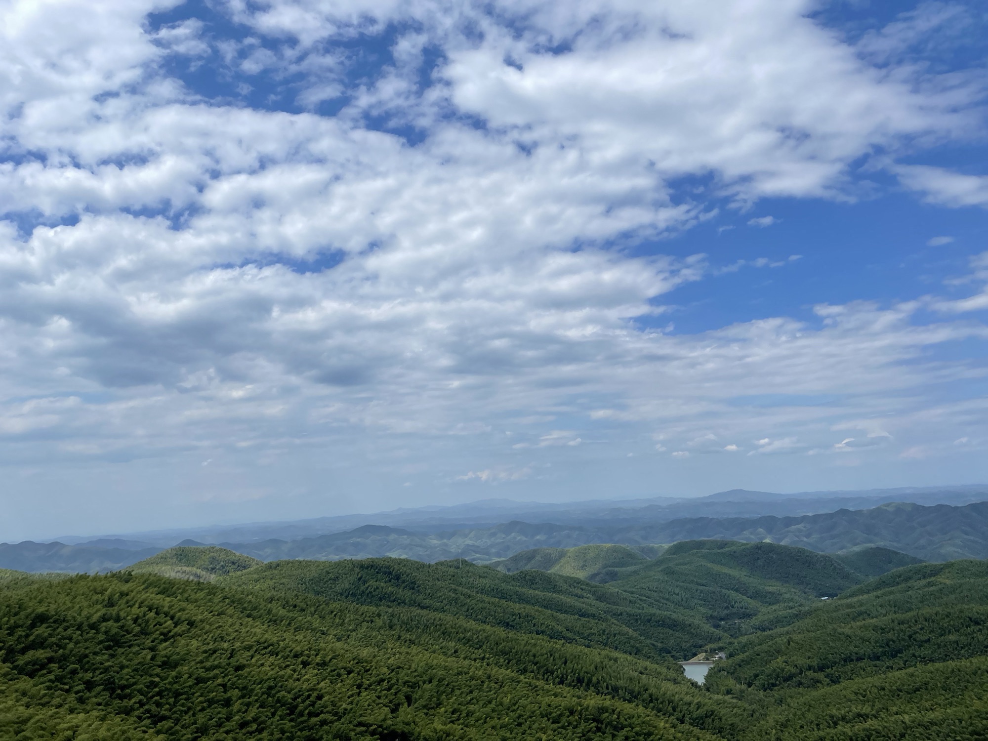 蔡伦竹海旅行图片 1