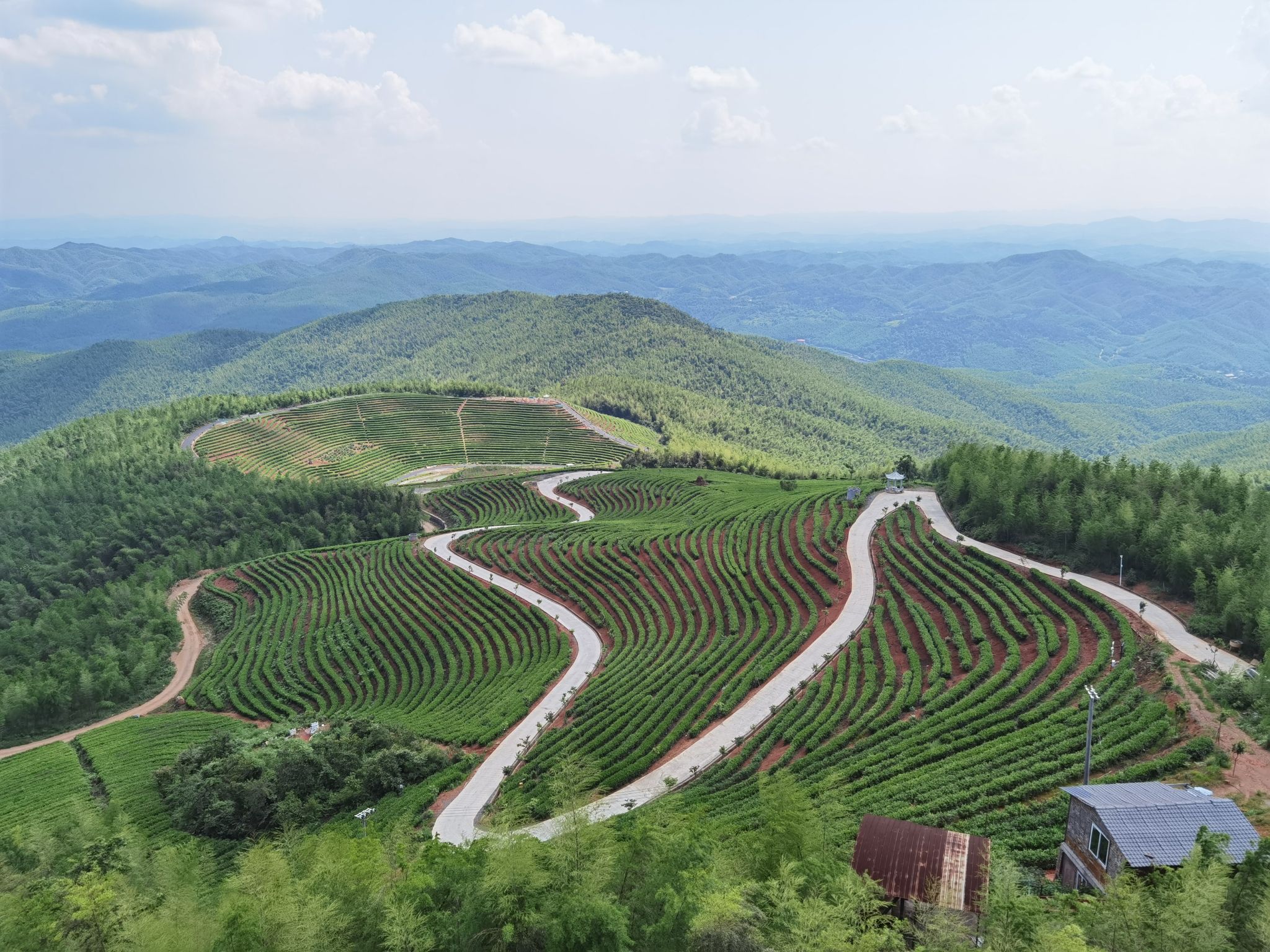 蔡伦竹海旅行图片 2