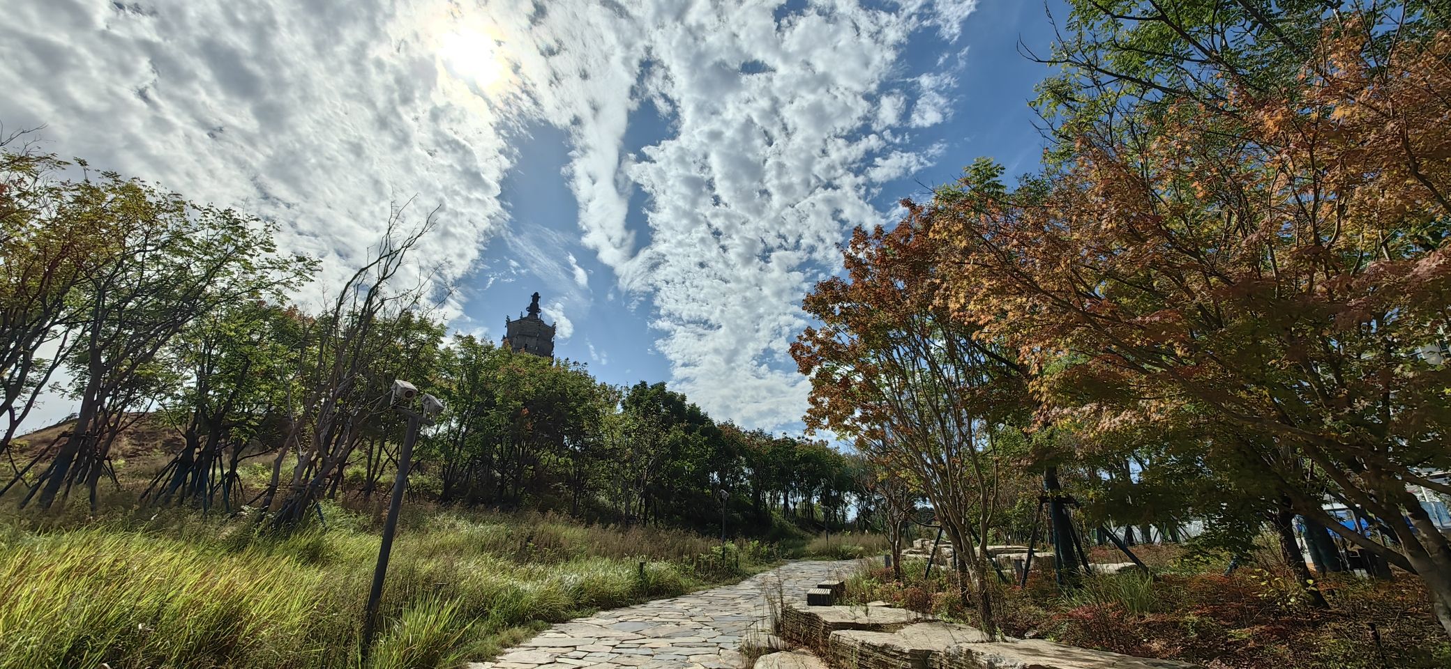 来雁塔旅行图片 2