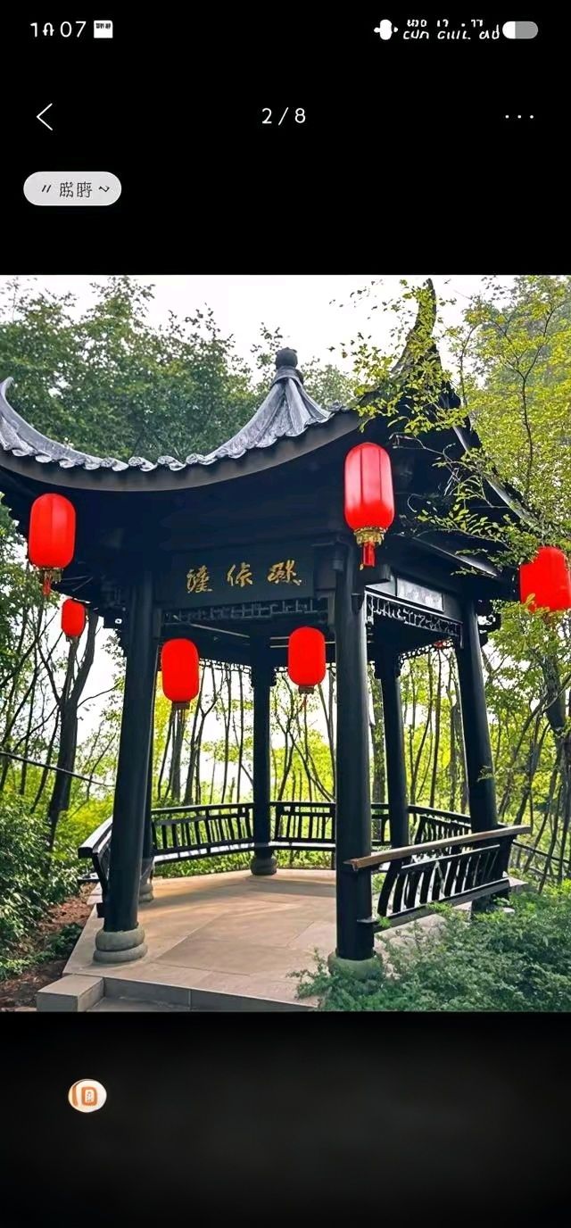 来雁塔旅行图片 3