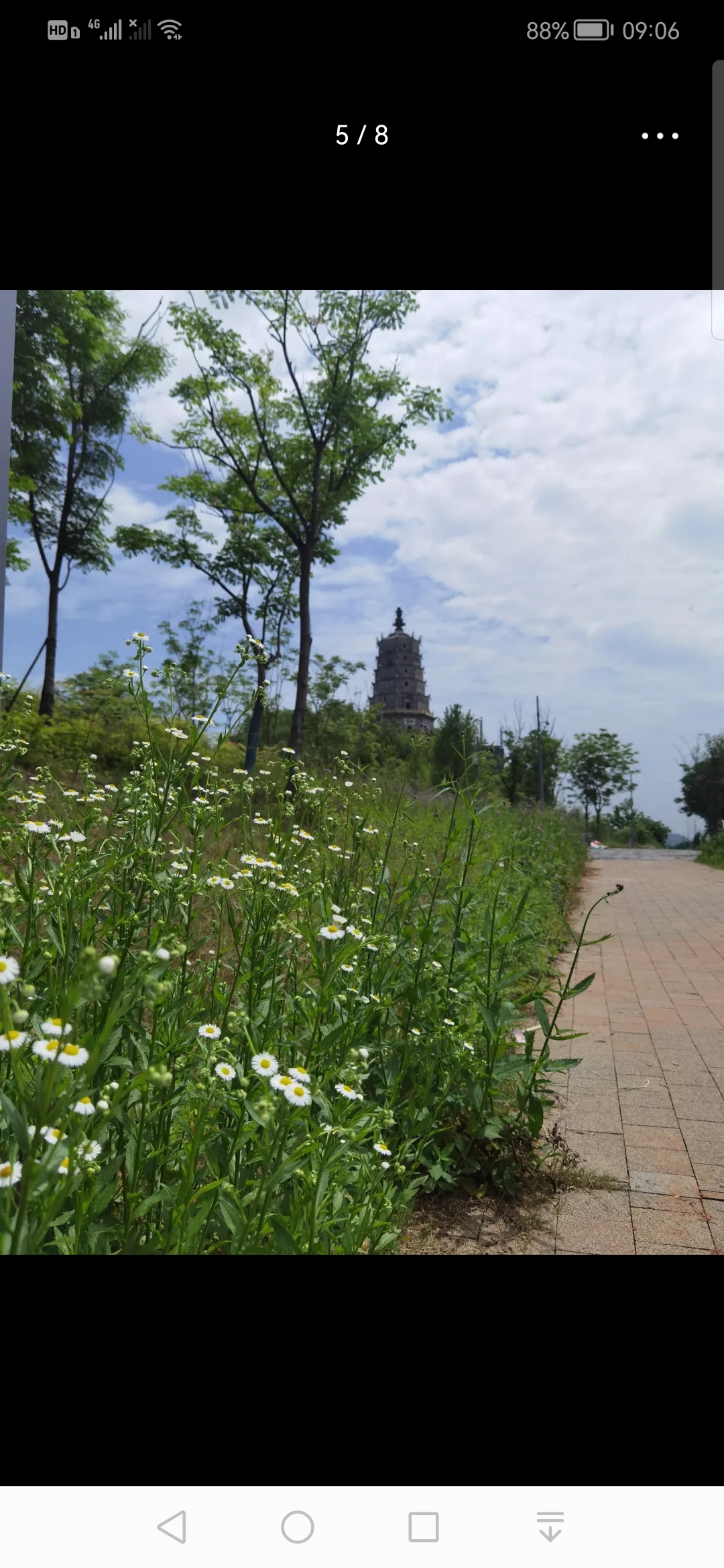 来雁塔旅行图片 1