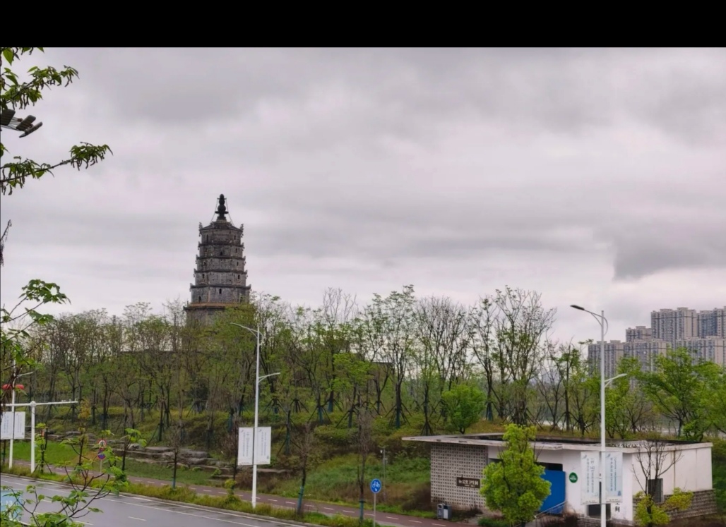 来雁塔旅行图片 3