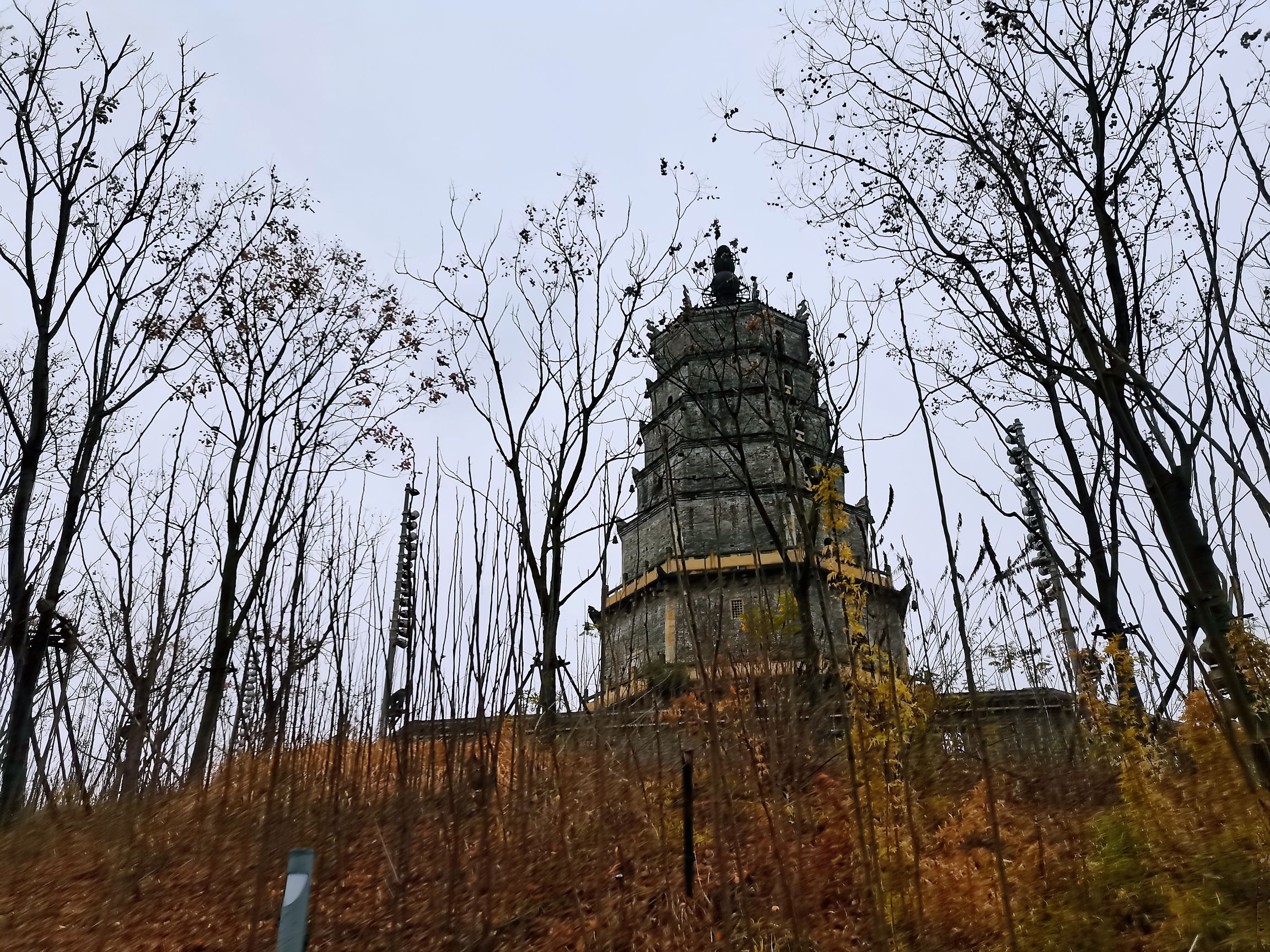 来雁塔旅行图片 1