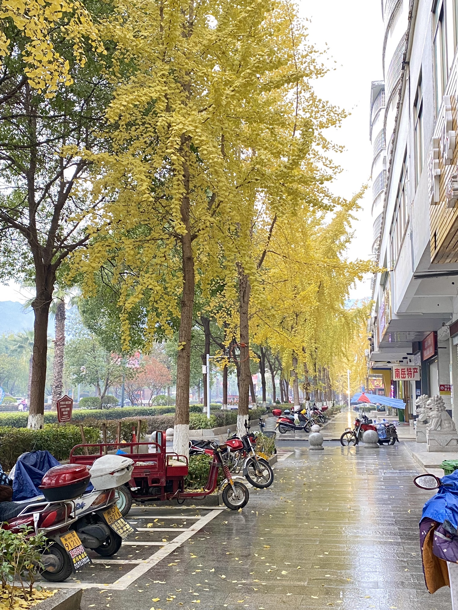 南岳衡山牌坊旅行图片 3