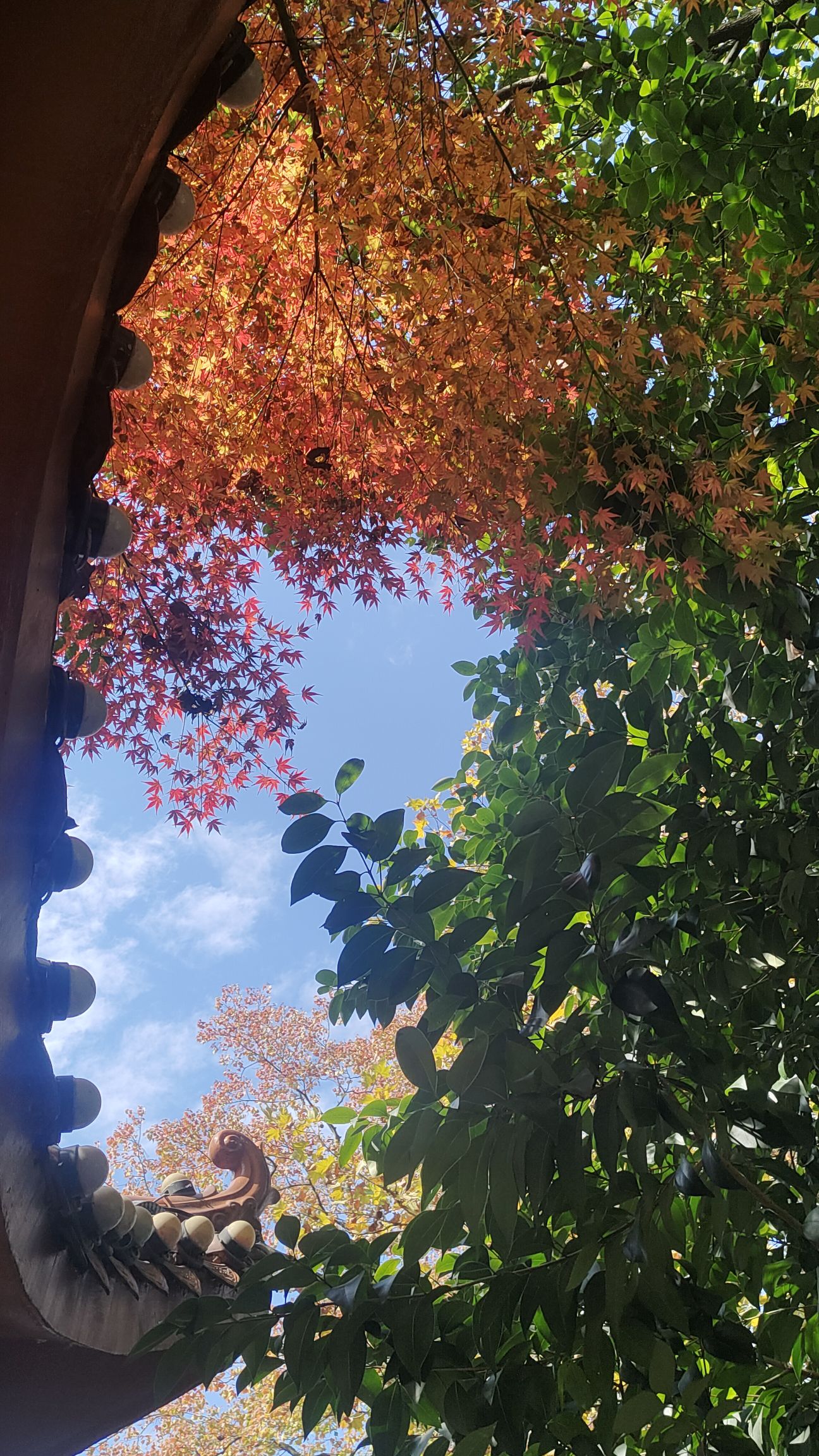 北湖公园旅行图片 1