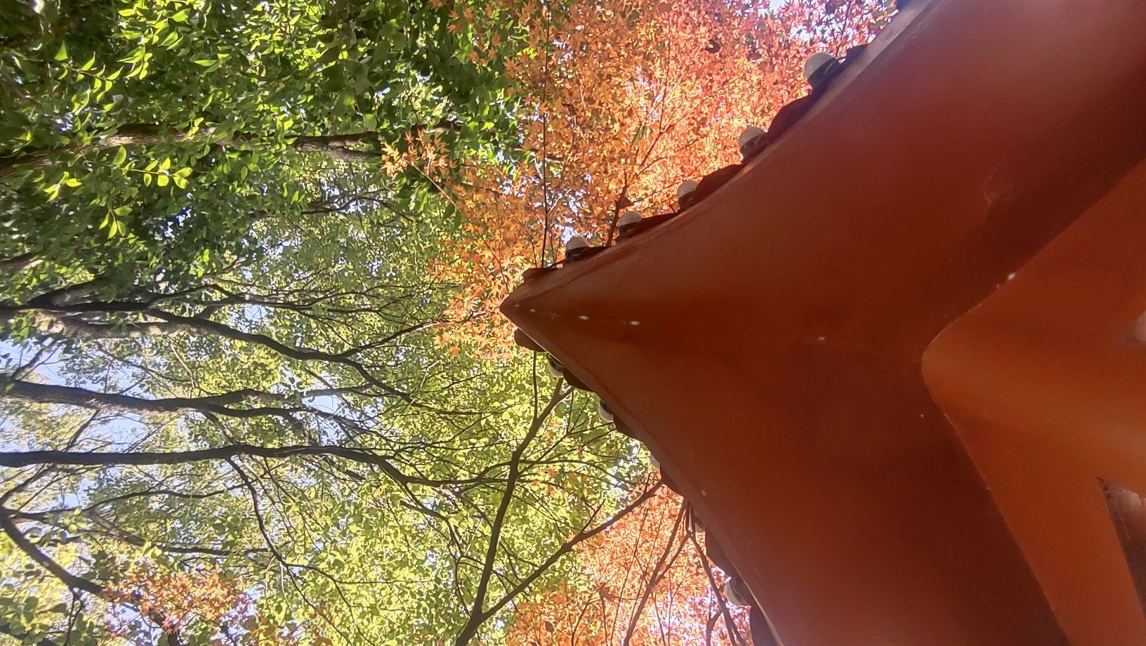 北湖公园旅行图片 2