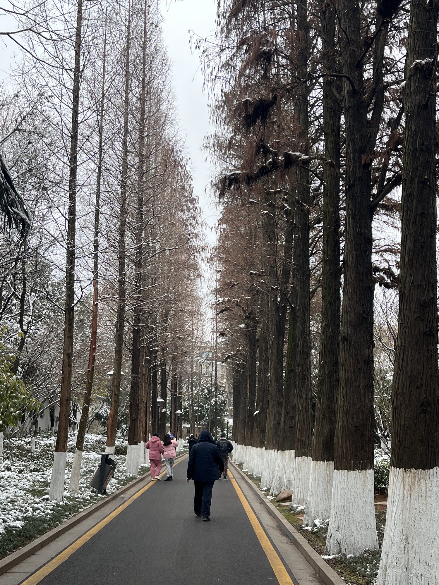 北湖公园旅行图片 3