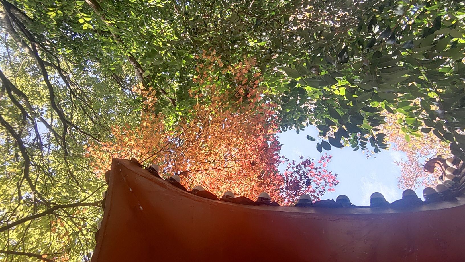 北湖公园旅行图片 3