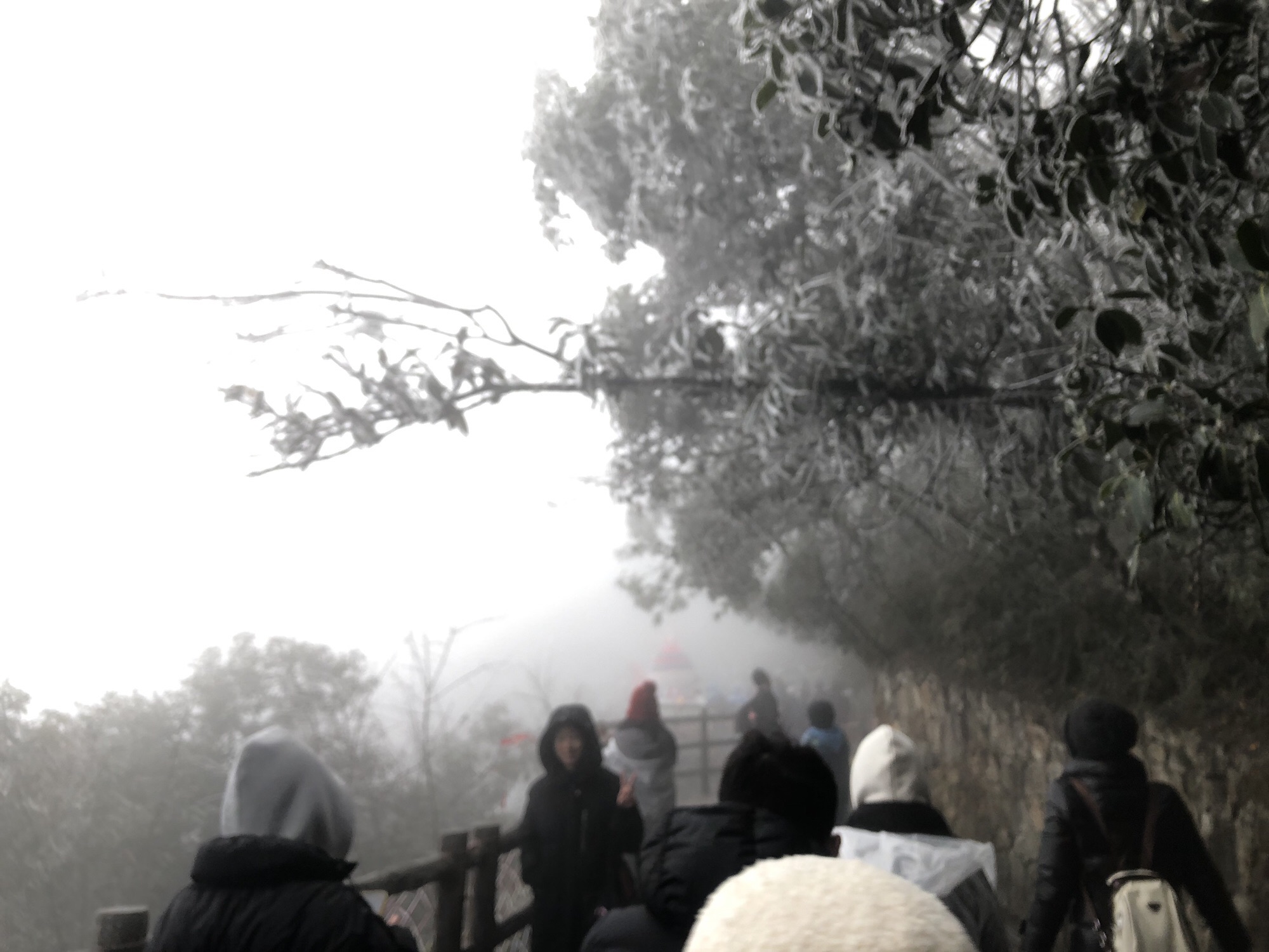 莽山国家森林公园旅行图片 3