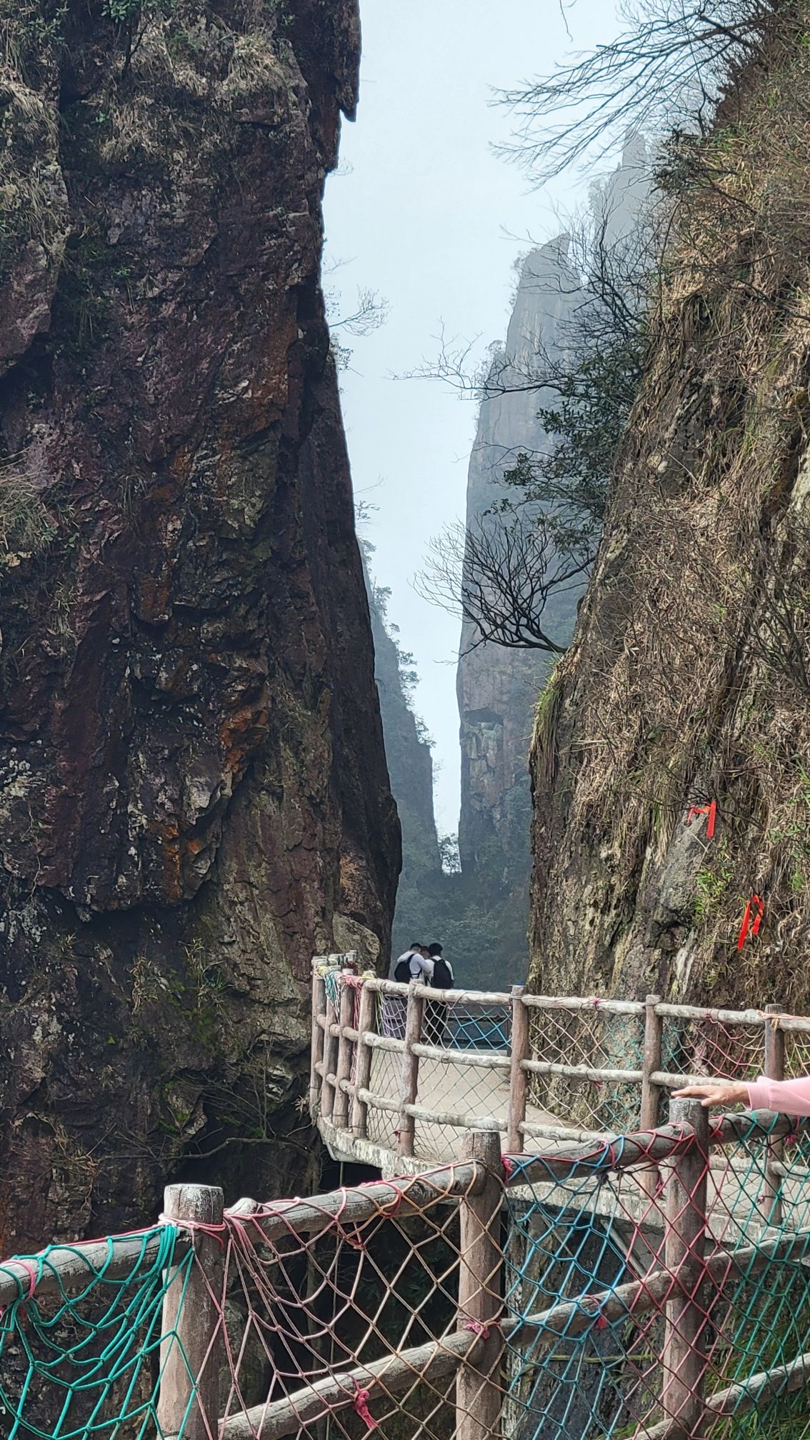 莽山国家森林公园旅行图片 2