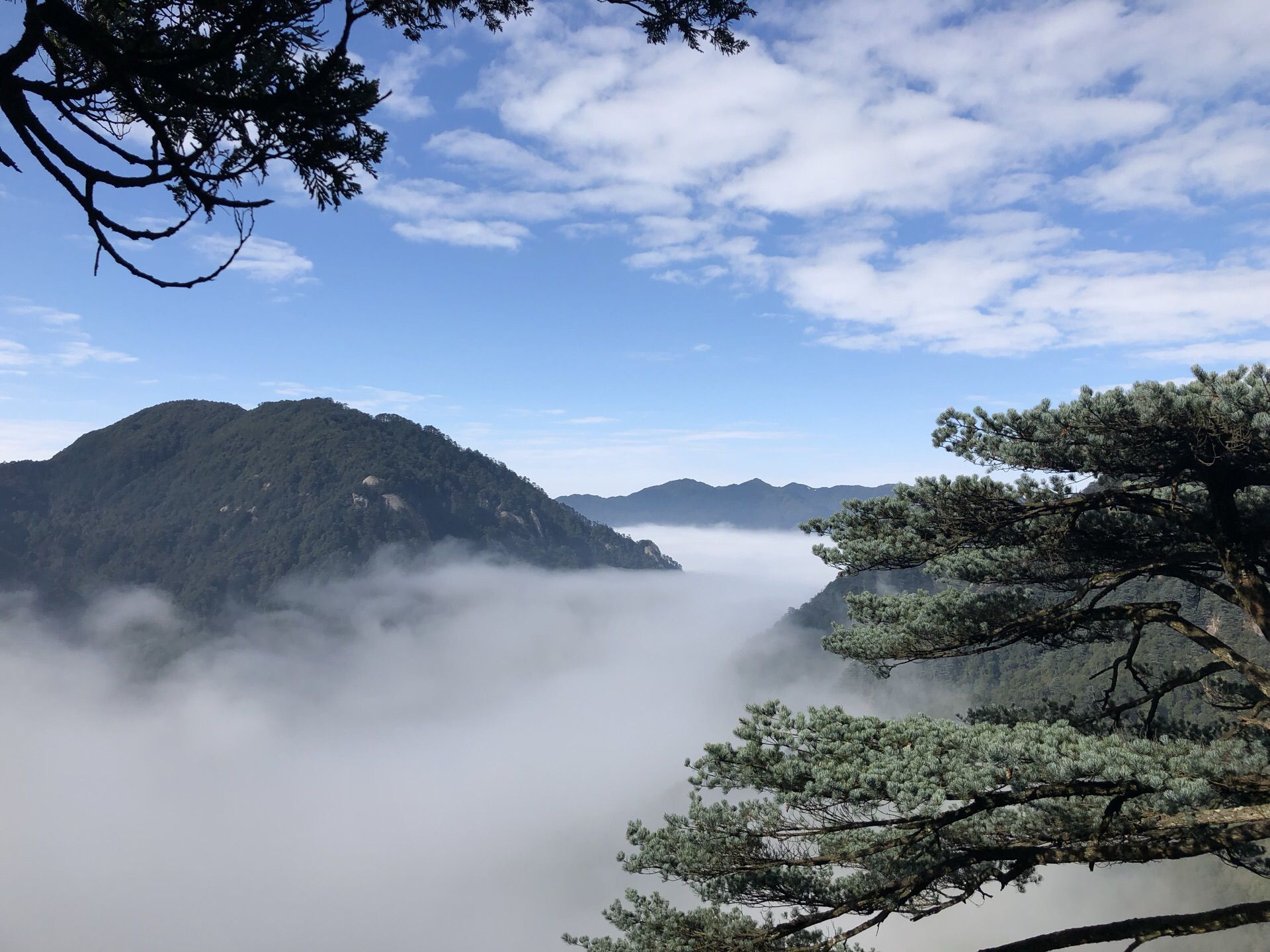 莽山国家森林公园旅行图片 2