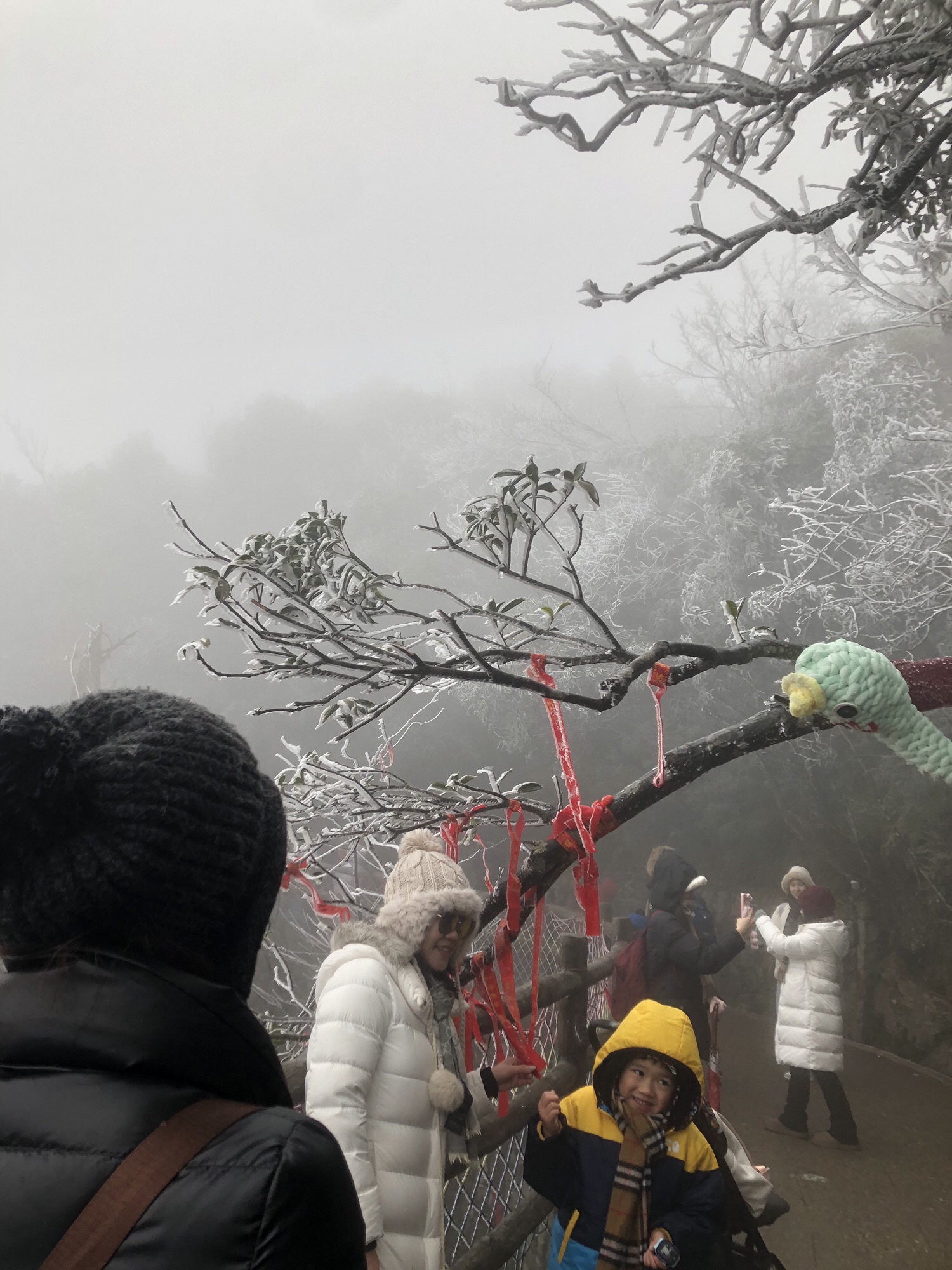 莽山国家森林公园旅行图片 2